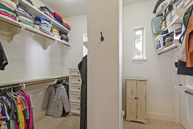 spacious closet featuring light carpet