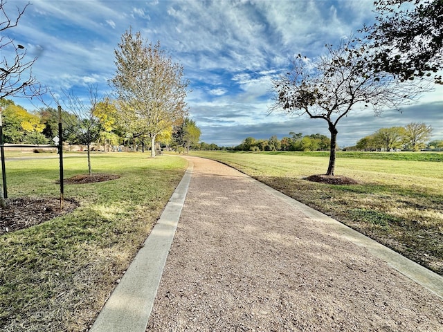 view of community with a yard