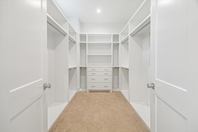 spacious closet featuring light colored carpet