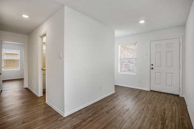 foyer entrance featuring a wealth of natural light and dark hardwood / wood-style floors