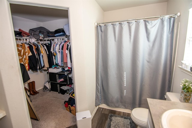 bathroom featuring a shower with curtain, vanity, and toilet