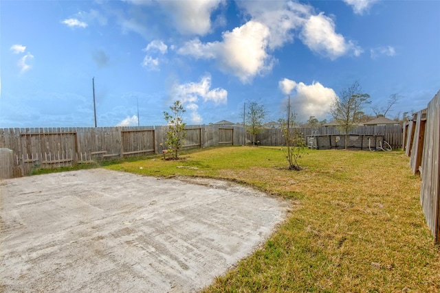 view of yard with a patio area