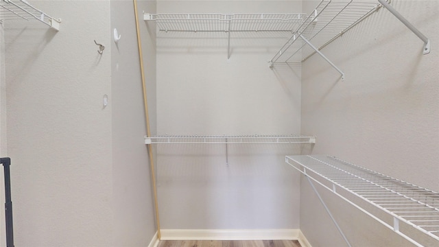 spacious closet featuring wood-type flooring