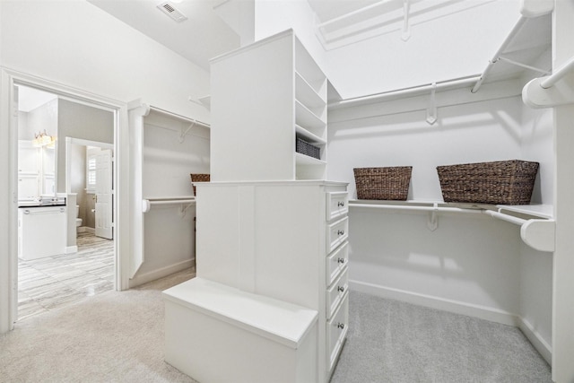 spacious closet featuring light colored carpet