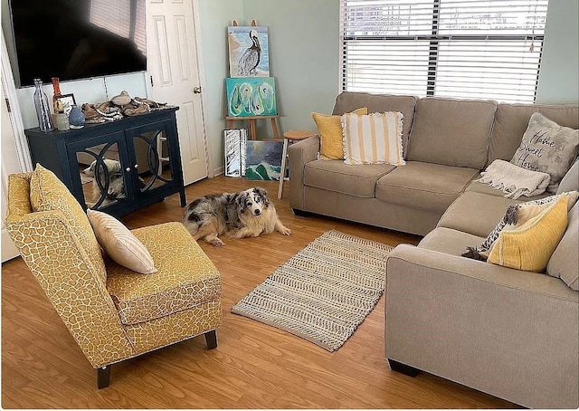 living room featuring hardwood / wood-style floors