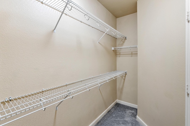 505 Jackson Hill St S Unit 108, Houston, TX 77007 - photo 14