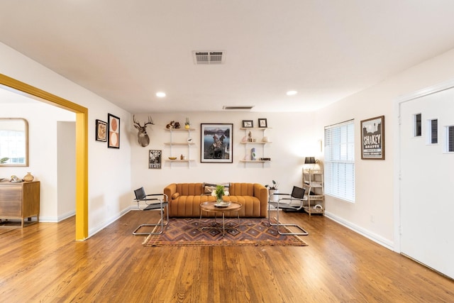 living room featuring wood-type flooring