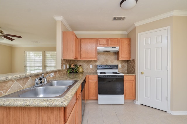 kitchen with sink, white electric range, ornamental molding, and kitchen peninsula