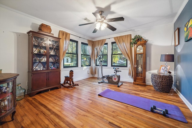 exercise room with ceiling fan, ornamental molding, and light wood-type flooring