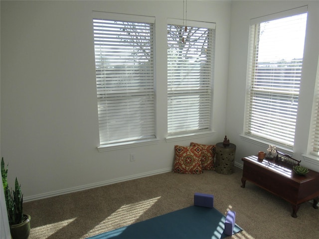 interior space featuring carpet flooring