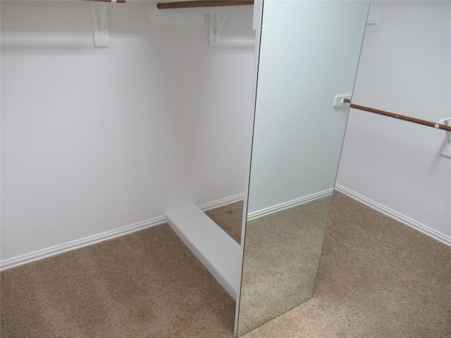 spacious closet featuring carpet floors