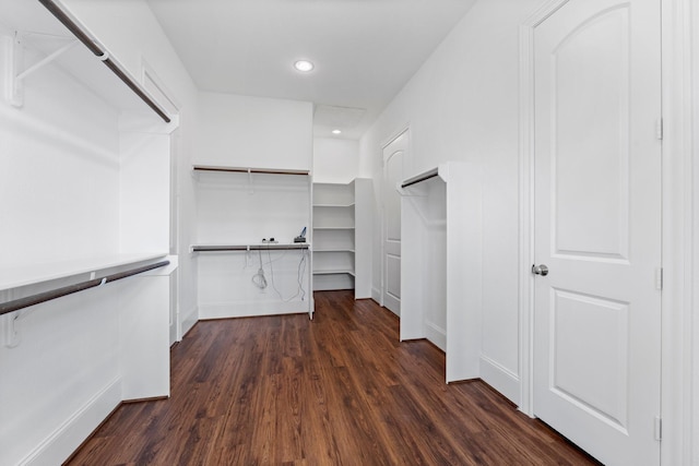 walk in closet with dark hardwood / wood-style floors