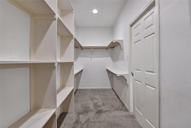 spacious closet with light colored carpet