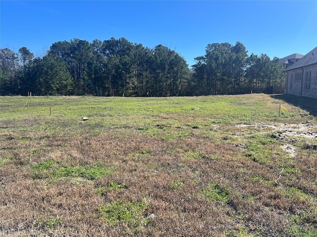 view of yard featuring a rural view