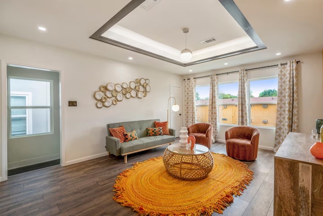 living area with dark hardwood / wood-style floors and a raised ceiling