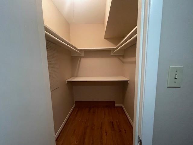 walk in closet featuring dark hardwood / wood-style flooring