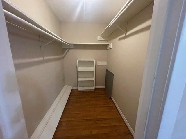 walk in closet featuring dark hardwood / wood-style flooring