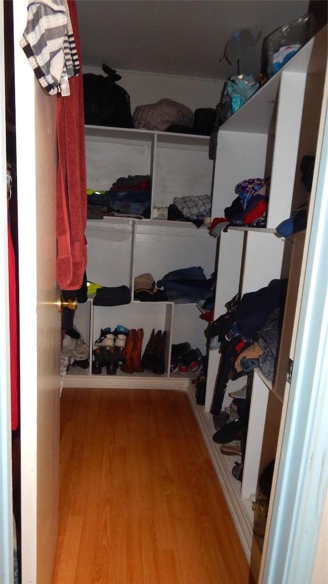 spacious closet with hardwood / wood-style floors