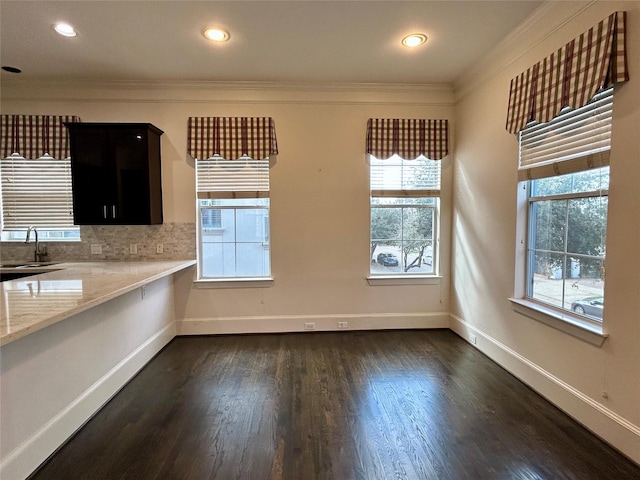 interior space featuring dark hardwood / wood-style floors, tasteful backsplash, sink, light stone counters, and crown molding