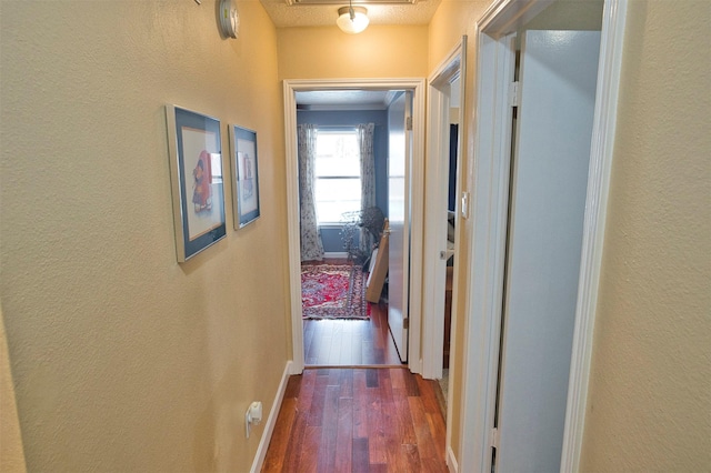 corridor with dark hardwood / wood-style floors