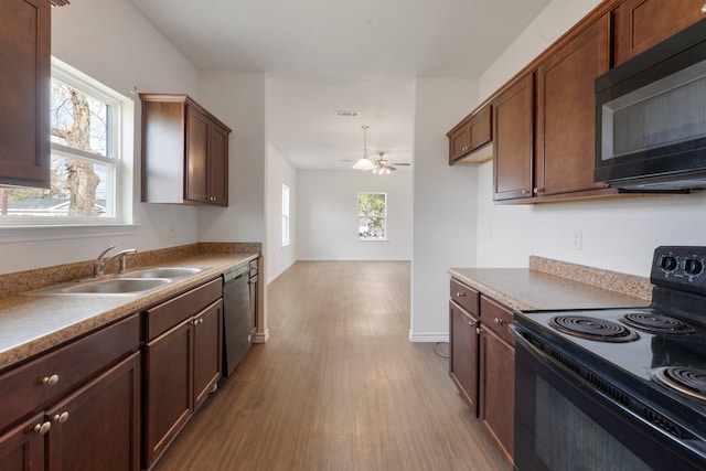 kitchen with sink, a wealth of natural light, light hardwood / wood-style flooring, and black appliances