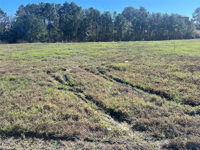 view of yard with a rural view