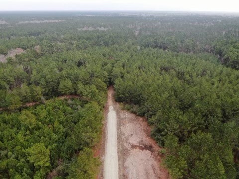 17.5 Bo Brown, Trinity, TX 75862 - photo 4