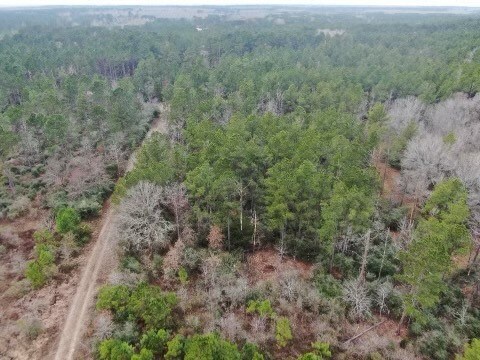 17.5 Bo Brown, Trinity, TX 75862 - photo 5