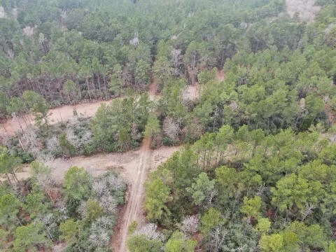 17.5 Bo Brown, Trinity, TX 75862 - photo 6
