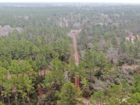 17.5 Bo Brown, Trinity, TX 75862 - photo 7