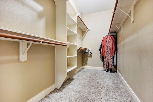 spacious closet with light colored carpet