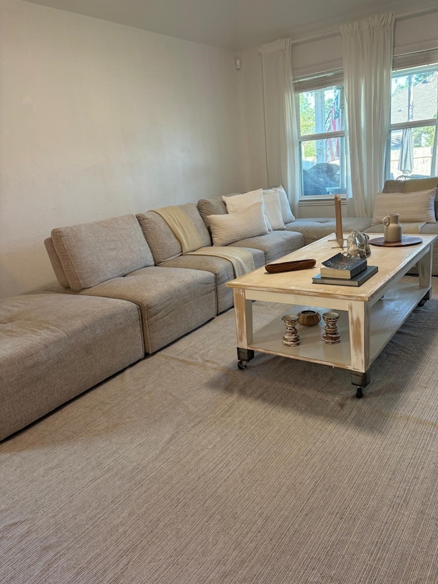 carpeted living room featuring a wealth of natural light