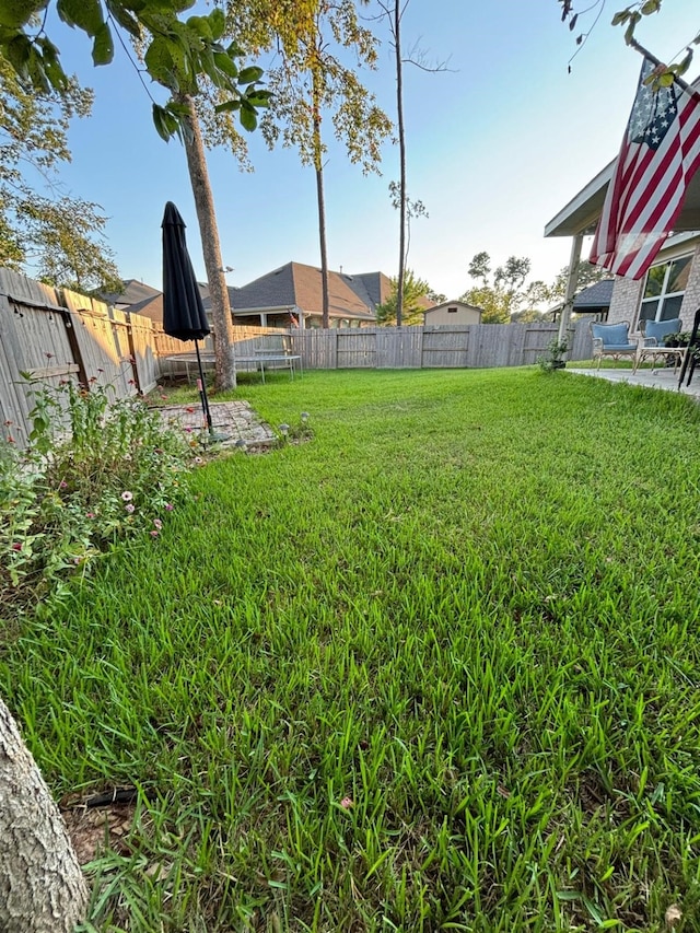 view of yard