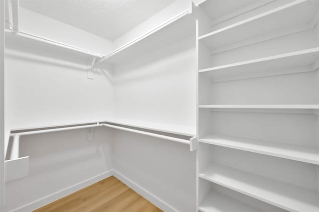 spacious closet with hardwood / wood-style flooring