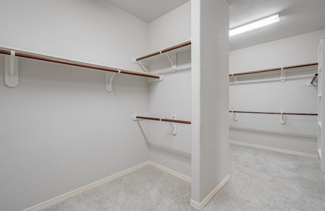 spacious closet featuring light carpet