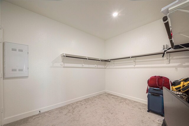 walk in closet with carpet