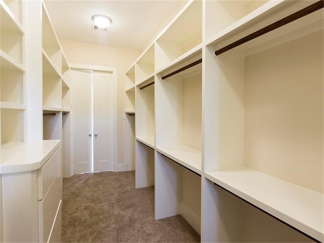 walk in closet with carpet