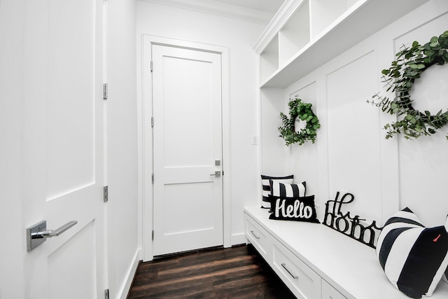 mudroom with crown molding and dark wood-type flooring