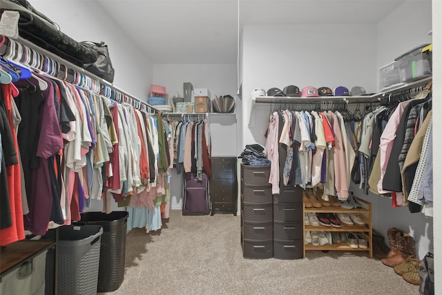 walk in closet with light colored carpet