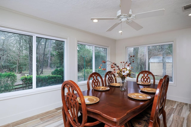 dining space with ceiling fan, light hardwood / wood-style flooring, and a textured ceiling