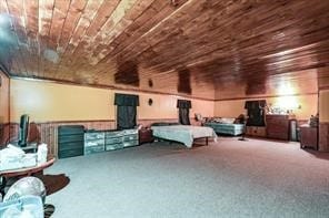 800 Oak St, Anahuac, TX 77514 - view of cinema