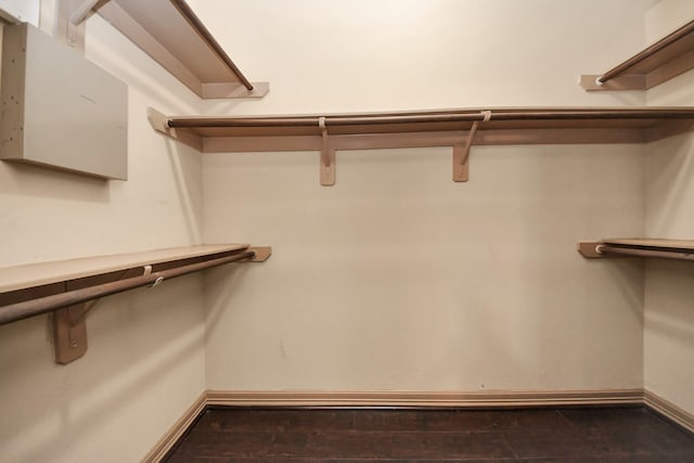 spacious closet with dark wood-type flooring