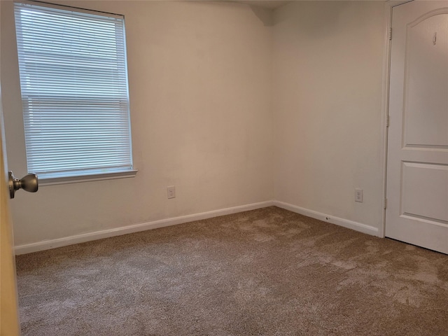 empty room featuring plenty of natural light and carpet floors