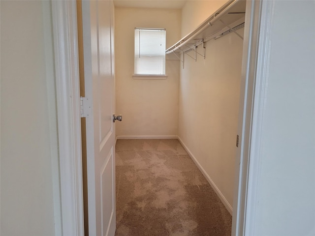 walk in closet with light colored carpet