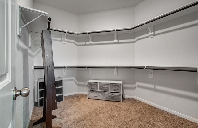 walk in closet featuring carpet