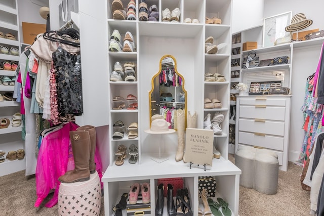 view of spacious closet