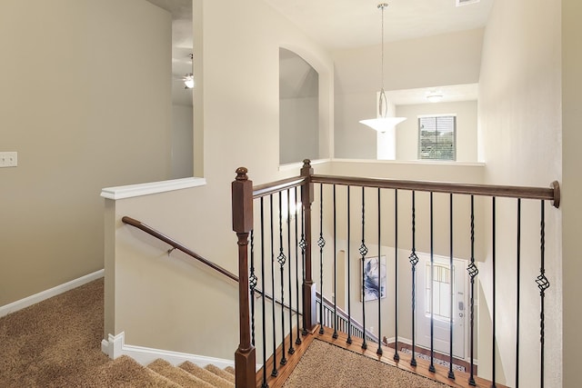 stairway featuring carpet flooring