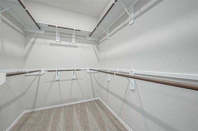 walk in closet featuring carpet flooring