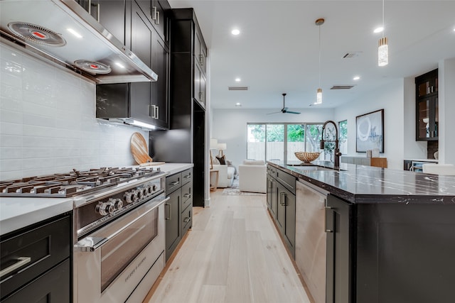 kitchen with ventilation hood, light wood-type flooring, a sink, appliances with stainless steel finishes, and tasteful backsplash