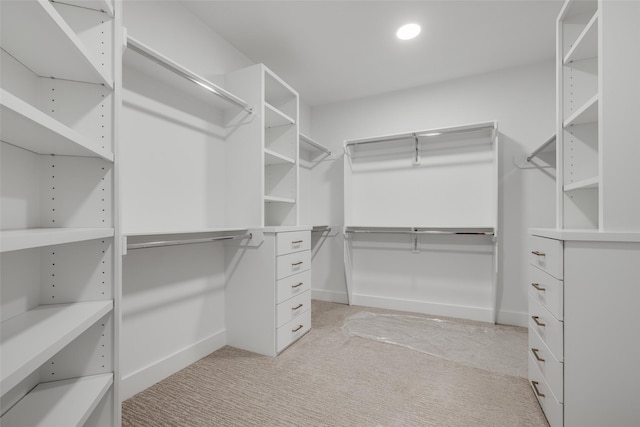 spacious closet with light carpet